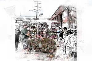 eastern market garden flowering plants deals